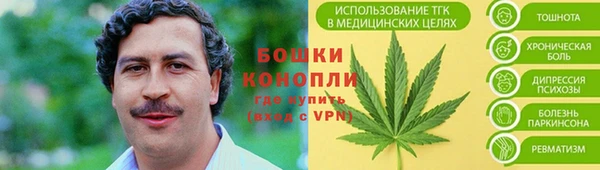 крисы Богданович