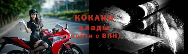 твердый Краснослободск