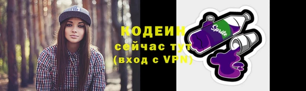 стаф Богородицк