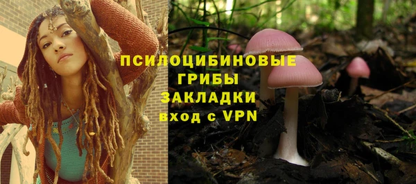 Альфа ПВП Кукмор