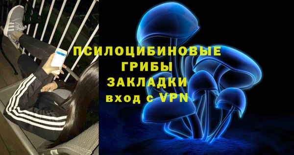 Альфа ПВП Кукмор