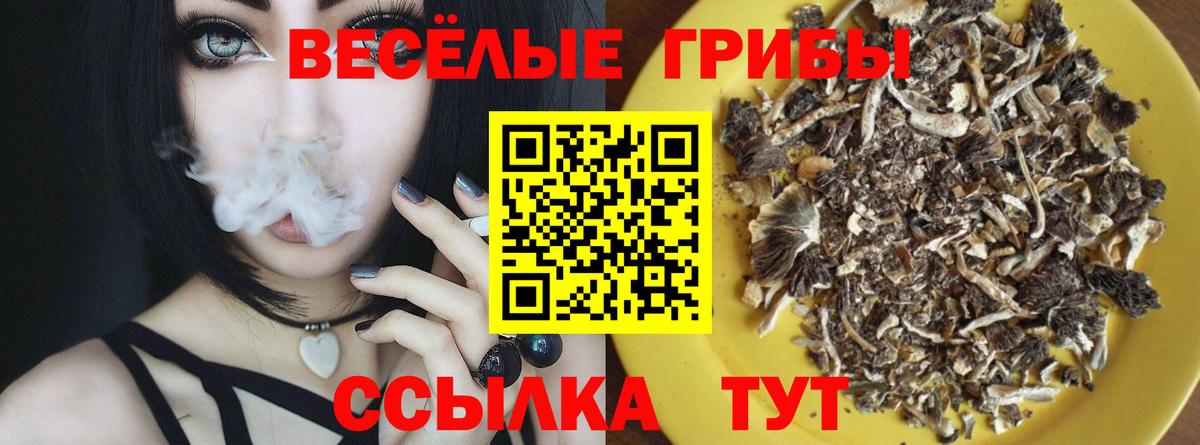 как найти закладки  Вход с VPN  Петропавловск-Камчатский  Псилоцибиновые грибы MAGIC MUSHROOMS 