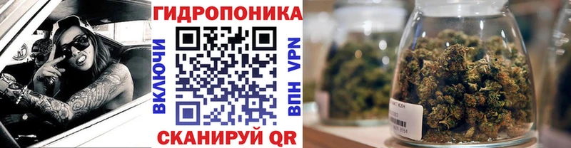 МАРИХУАНА семена  Петропавловск-Камчатский 