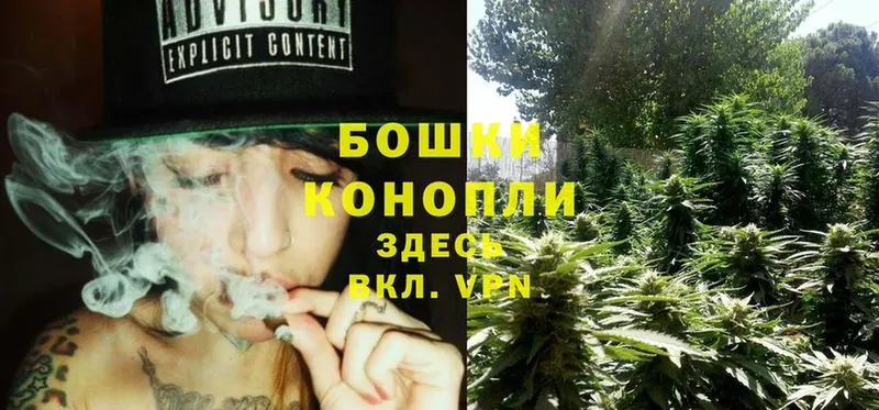 Бошки марихуана White Widow  купить закладку  Петропавловск-Камчатский 